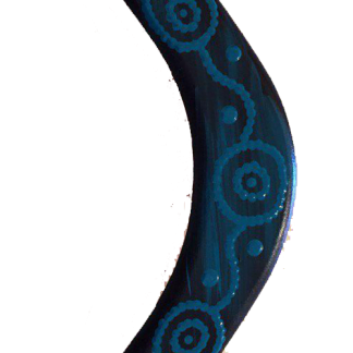 Blue small boomerang